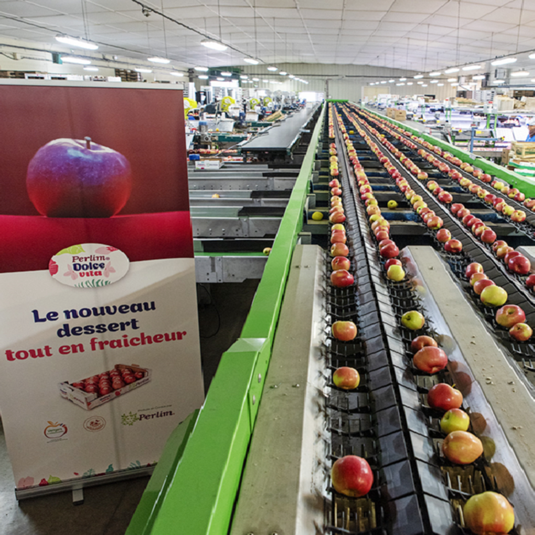 Perlim® Dolce Vita, le nouveau dessert de l’été