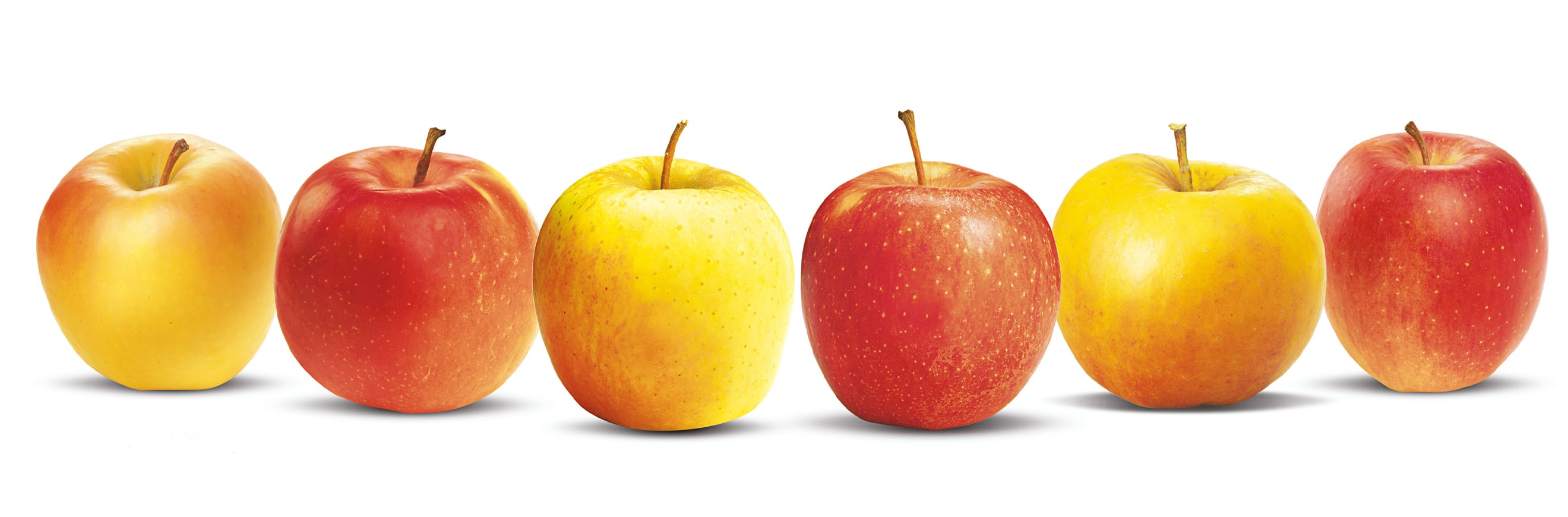 Variétés des pommes - Perlim-Meylim