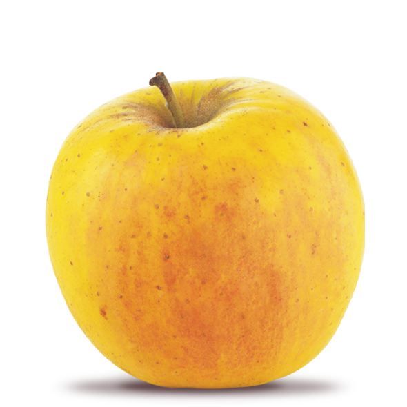 Pomme Rubigold - Alliance Perlim-Meylim
