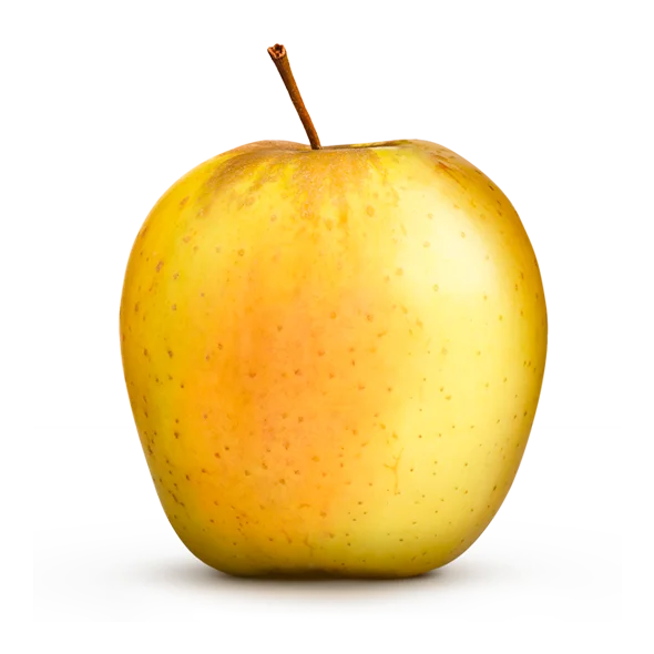 Pomme du Limousin AOP - Alliance Perlim-Meylim